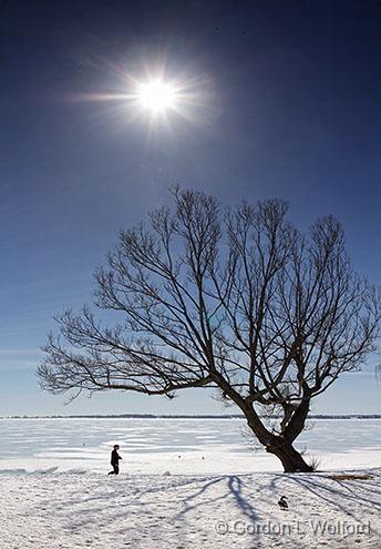 Frozen Lake Ontario_34049,51.jpg - Photographed at Amherstview, Ontario, Canada.
